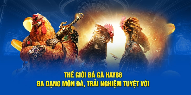 Các hình thức đá gà HAY88 được yêu thích