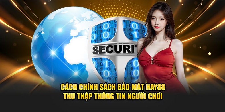 Cách chính sách bảo mật HAY88 thu thập thông tin người chơi
