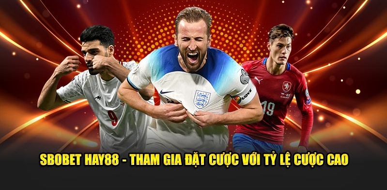 Tham gia đặt cược quần vợt với nhiều giải đấu hấp dẫn