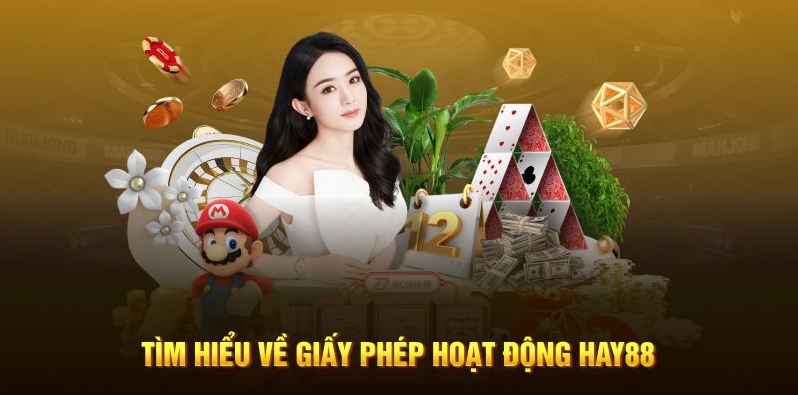 Tìm hiểu về giấy phép hoạt động HAY88