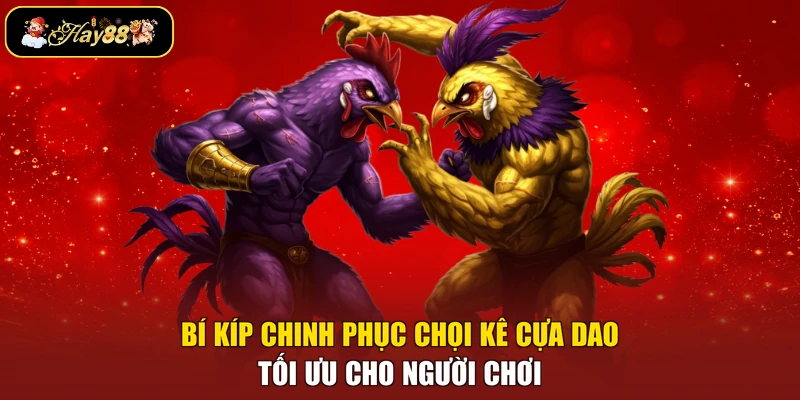 Bí kíp chinh phục chọi kê cựa dao tối ưu cho người chơi