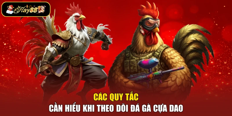 Các quy tắc cần hiểu khi theo dõi đá gà cựa dao