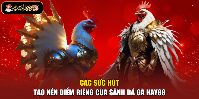 Các sức hút tạo nên điểm riêng của sảnh đá gà Hay88