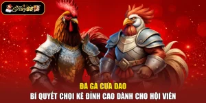Đá Gà Cựa Dao - Bí Quyết Chọi Kê Đỉnh Cao Dành Cho Hội Viên