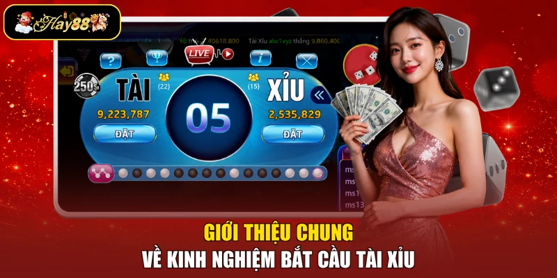 Giới thiệu chung về kinh nghiệm bắt cầu tài xỉu