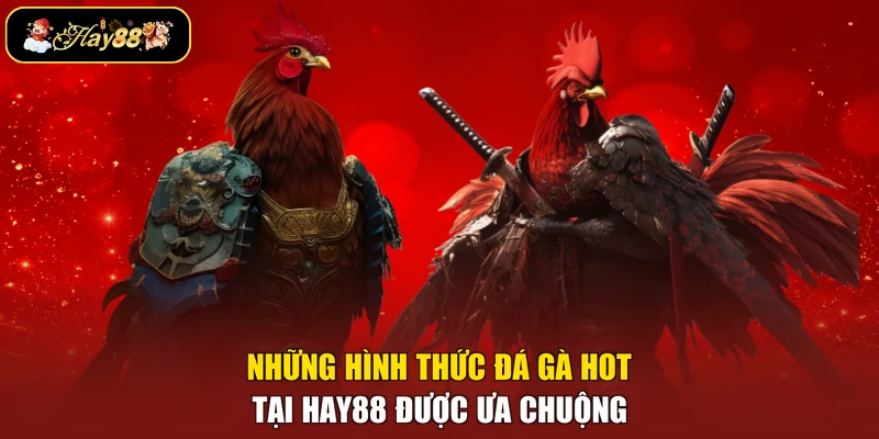 Những hình thức đá gà hot tại Hay88 được ưa chuộng