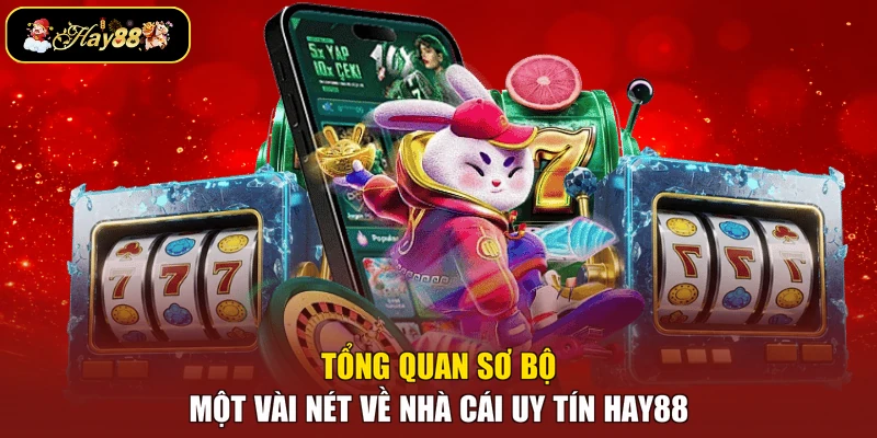 Tổng quan sơ bộ một vài nét về nhà cái uy tín Hay88
