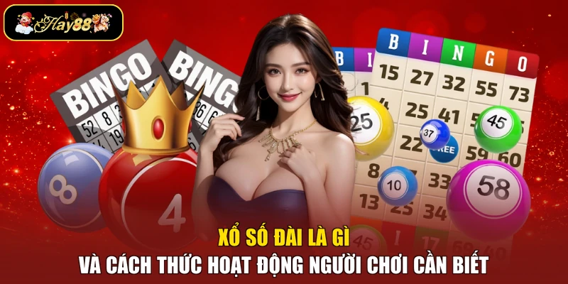 Xổ Số Đài Là Gì Và Cách Thức Hoạt Động Người Chơi Cần Biết